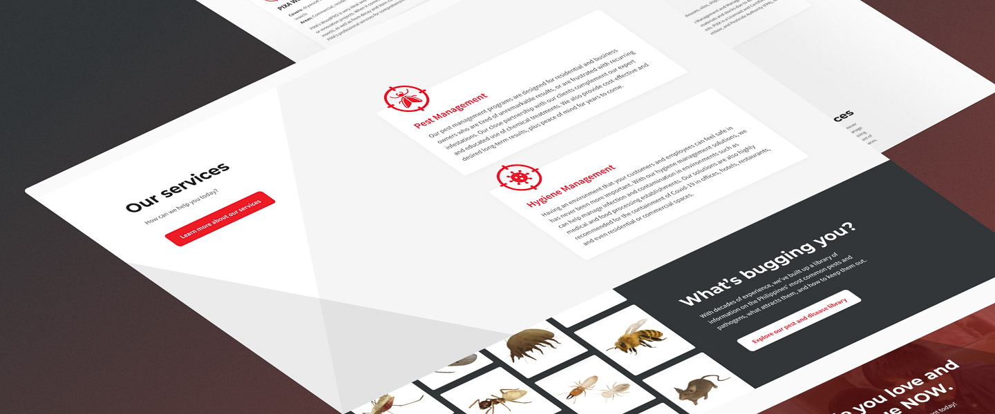 Mockups for PIXA Company's website redesign